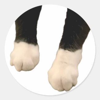 Adesivo Redondo Henri Sticker - Pés!