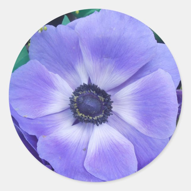 Adesivo Redondo Henrietta (Frente)