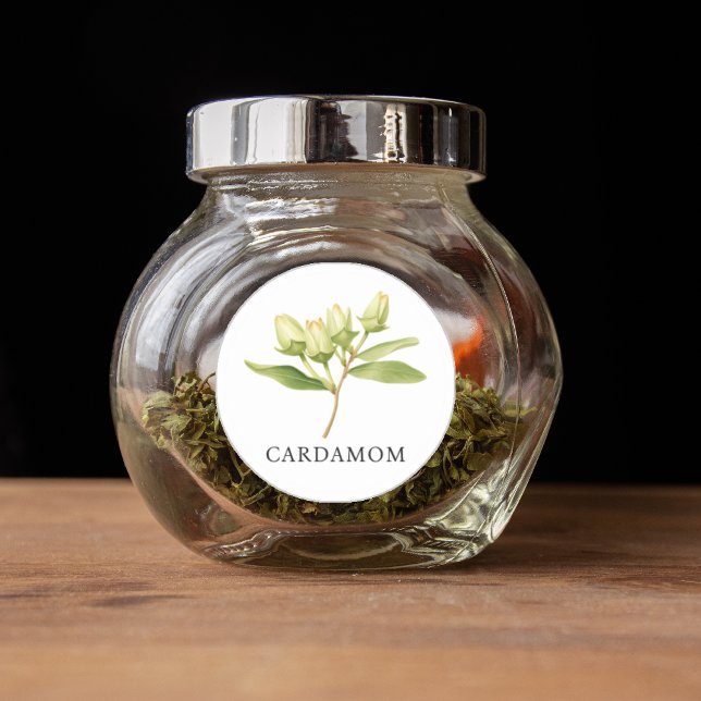 Adesivo Redondo Herb Cardamom Watercolor (Herb Cardamom Watercolor Classic Round Sticker)