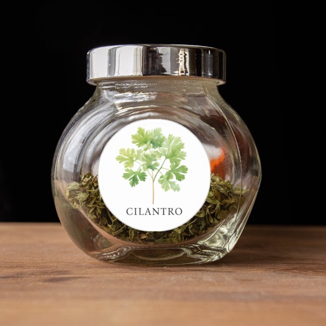 Adesivo Redondo Herb Cilantro Watercolor (Herb Cilantro Watercolor Classic Round Sticker)