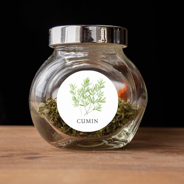 Adesivo Redondo Herb Cumin Watercolor (Herb Cumin Watercolor Classic Round Sticker)