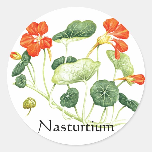 Adesivo Redondo Herb Garden Series - Nasturtium (Frente)
