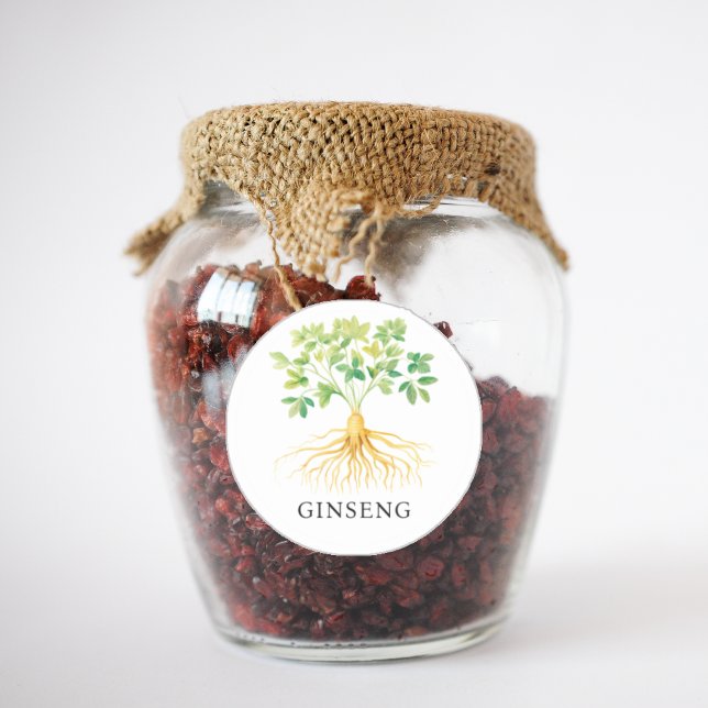 Adesivo Redondo Herb Ginseng Watercolor (Herb Ginseng Watercolor Classic Round Sticker)