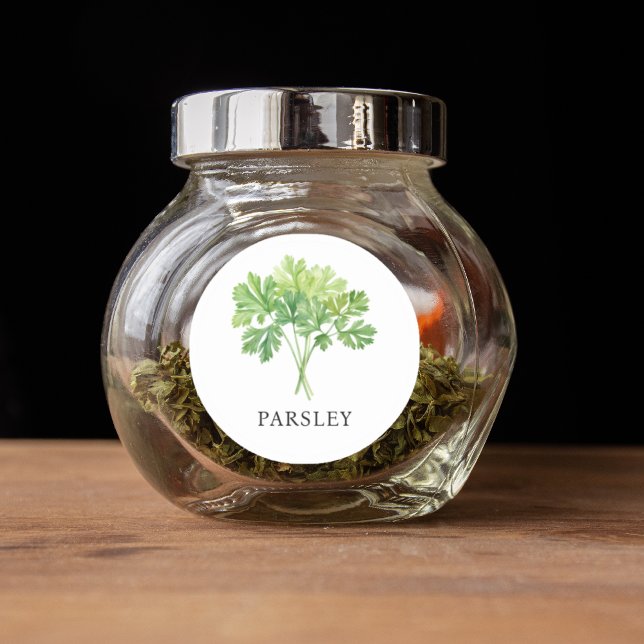Adesivo Redondo Herb Parsley Watercolor (Herb Parsley Watercolor Classic Round Sticker)