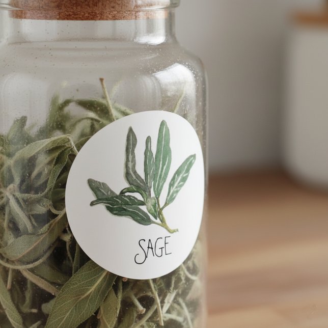 Adesivo Redondo Herb Sage de Aquarela (Criador carregado)