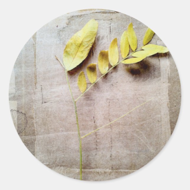 Adesivo Redondo Herbário V (Frente)