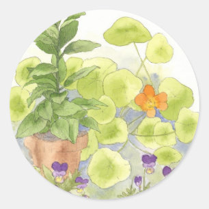 Adesivo Redondo Herbo de Aquarela do Flor Nasturtium da árvore de 