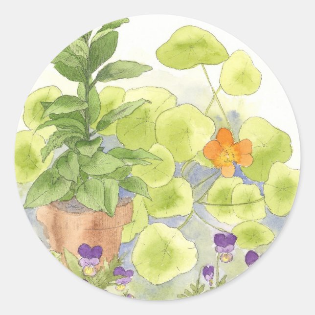 Adesivo Redondo Herbo de Aquarela do Flor Nasturtium da árvore de  (Frente)
