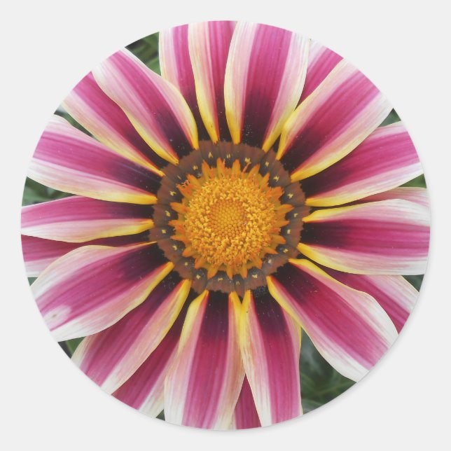 Adesivo Redondo Hereford (Frente)