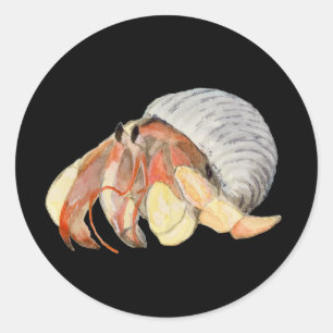 Adesivo Redondo Hermit Crab