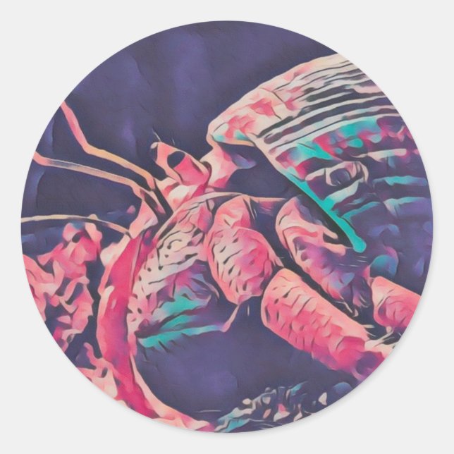 Adesivo Redondo Hermit Crab Sticker  (Frente)