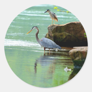 Adesivo Redondo Herons