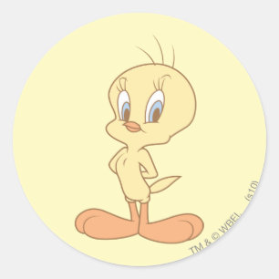 Adesivo Redondo Hetero de Tweety em pé