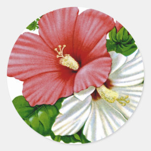 Adesivo Redondo Hibiscus Vintage Seed Packet