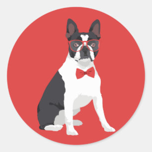 Adesivo Redondo Hipster Boston Terrier com vidros & laço vermelho