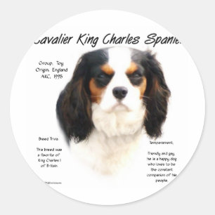 Adesivo Redondo História do Cavaleiro Rei Charles Spaniel (tricolo