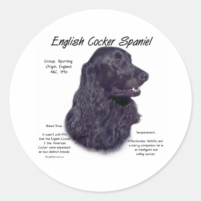 Adesivo Redondo História do Cocker Spaniel Inglês Preto (Frente)