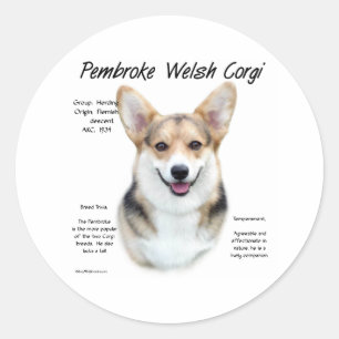 Adesivo Redondo História do Pembroke Welsh Corgi Design