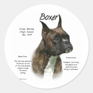 Adesivo Redondo Histórico de Boxer do Brindle