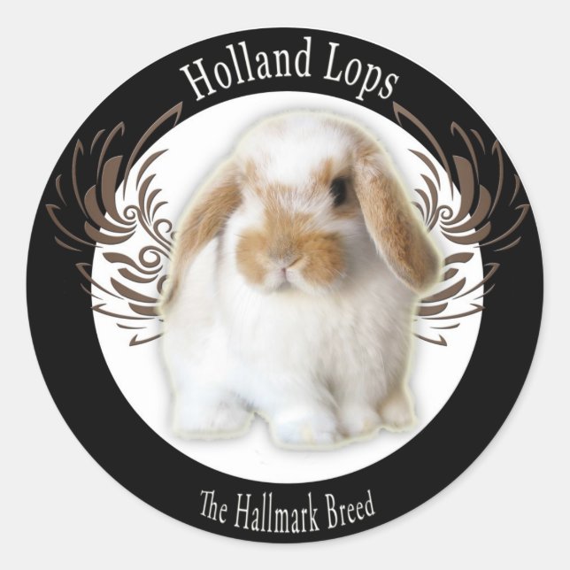 Adesivo Redondo Holland Lop Stickers (Frente)