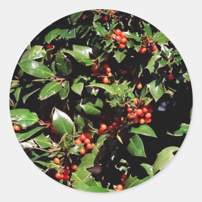 Adesivo Redondo Holly e Berries Stickers (Frente)