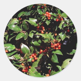 Adesivo Redondo Holly e Berries Stickers