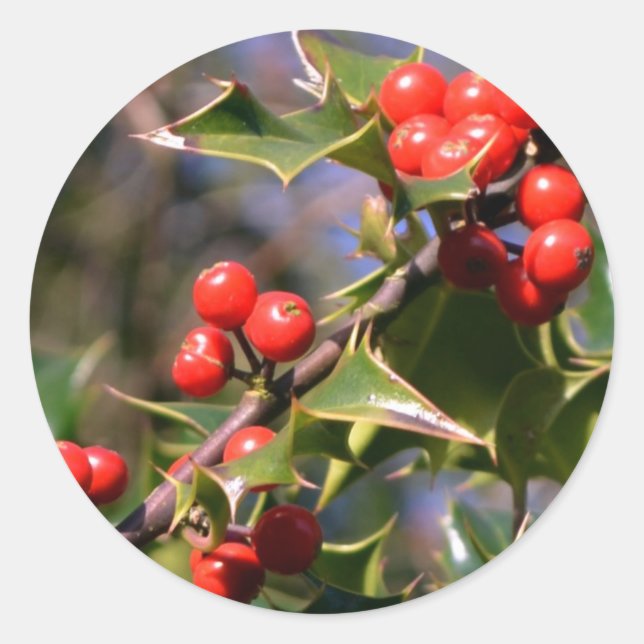 Adesivo Redondo Holly Stickers (Frente)