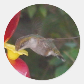 Adesivo Redondo Hora de Comer