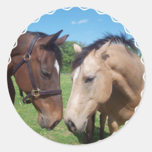 Adesivo Redondo Horse Romance Stickers
