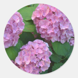 Adesivo Redondo Hortensia hydrangea bush rosa