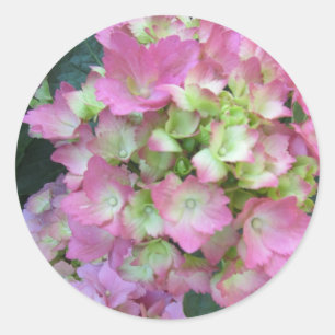Adesivo Redondo Hortênsias Rosa