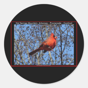Adesivo Redondo Hot Springs Mountain Promenade Presentes Cardinal