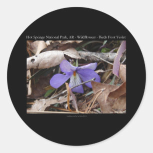 Adesivo Redondo Hot Springs National Park, AR Presentes Violetas S