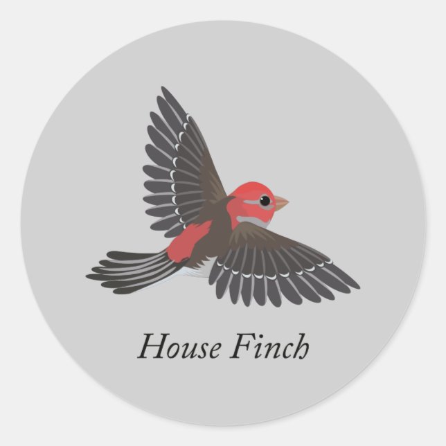 Adesivo Redondo House Finch (Frente)