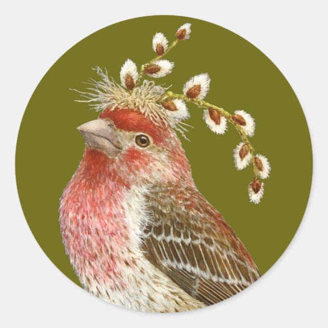 Adesivo Redondo House finch sticker (Frente)