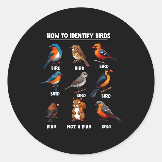 Adesivo Redondo How To Identify Birds Funny Birds Identification B (Frente)