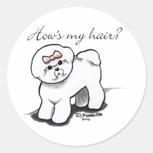 Adesivo Redondo Hows de Bichon Frise meu cabelo