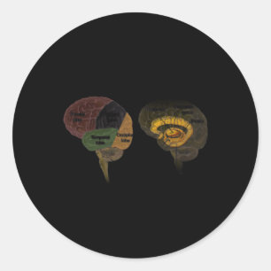 Adesivo Redondo Hu Brain Anatomy