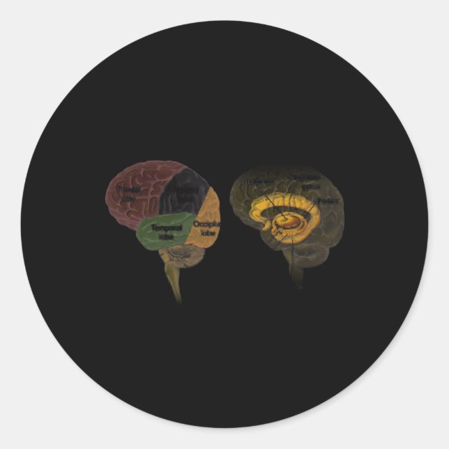 Adesivo Redondo Hu Brain Anatomy (Frente)
