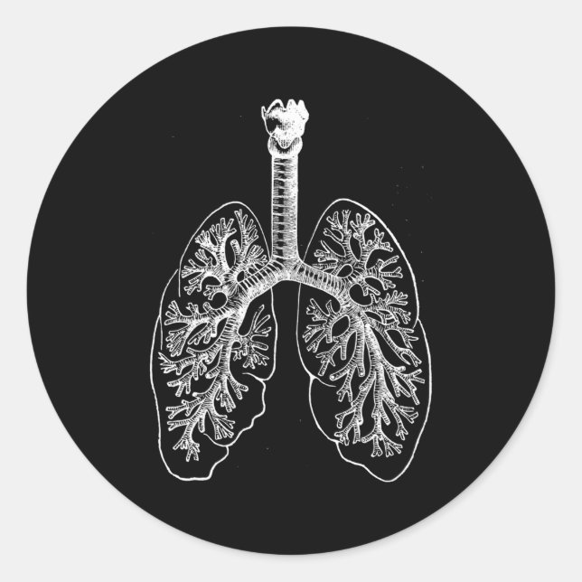 Adesivo Redondo Hu Pulmões Anatomia Pulmonólogo Pulmonólogo Pulmõe (Frente)