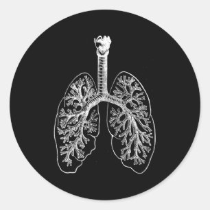 Adesivo Redondo Hu Pulmões Anatomia Pulmonólogo Pulmonólogo Pulmõe