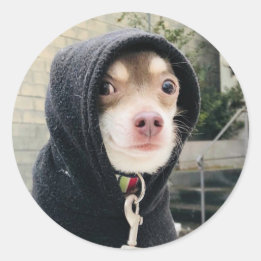 Adesivo Redondo Huey in Disguise Stickers!