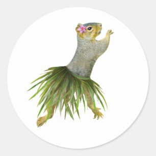 Adesivo Redondo Hula Squirrel Sticker