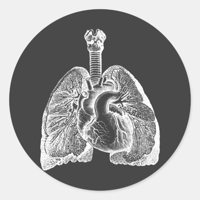 Adesivo Redondo Human Biology Anatomy Heart Lungs Science Art   (Frente)