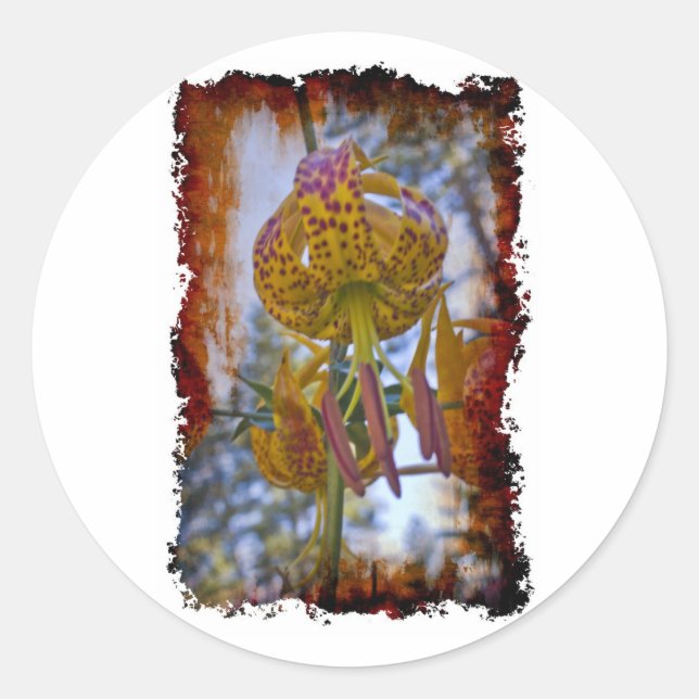 Adesivo Redondo Humboldt Lily (Frente)