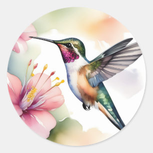 Adesivo Redondo Hummingbird Com Flores Rosa