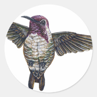 Adesivo Redondo Hummingbird da Costa