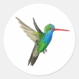 Adesivo Redondo Hummingbird de bico largo