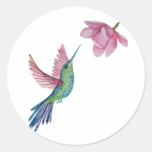 Adesivo Redondo Hummingbird Sticker