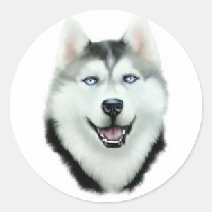 Adesivo Redondo Husky siberiano